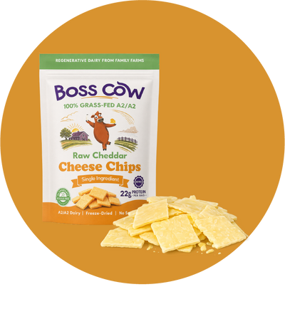 Cheddar Cheese Chips