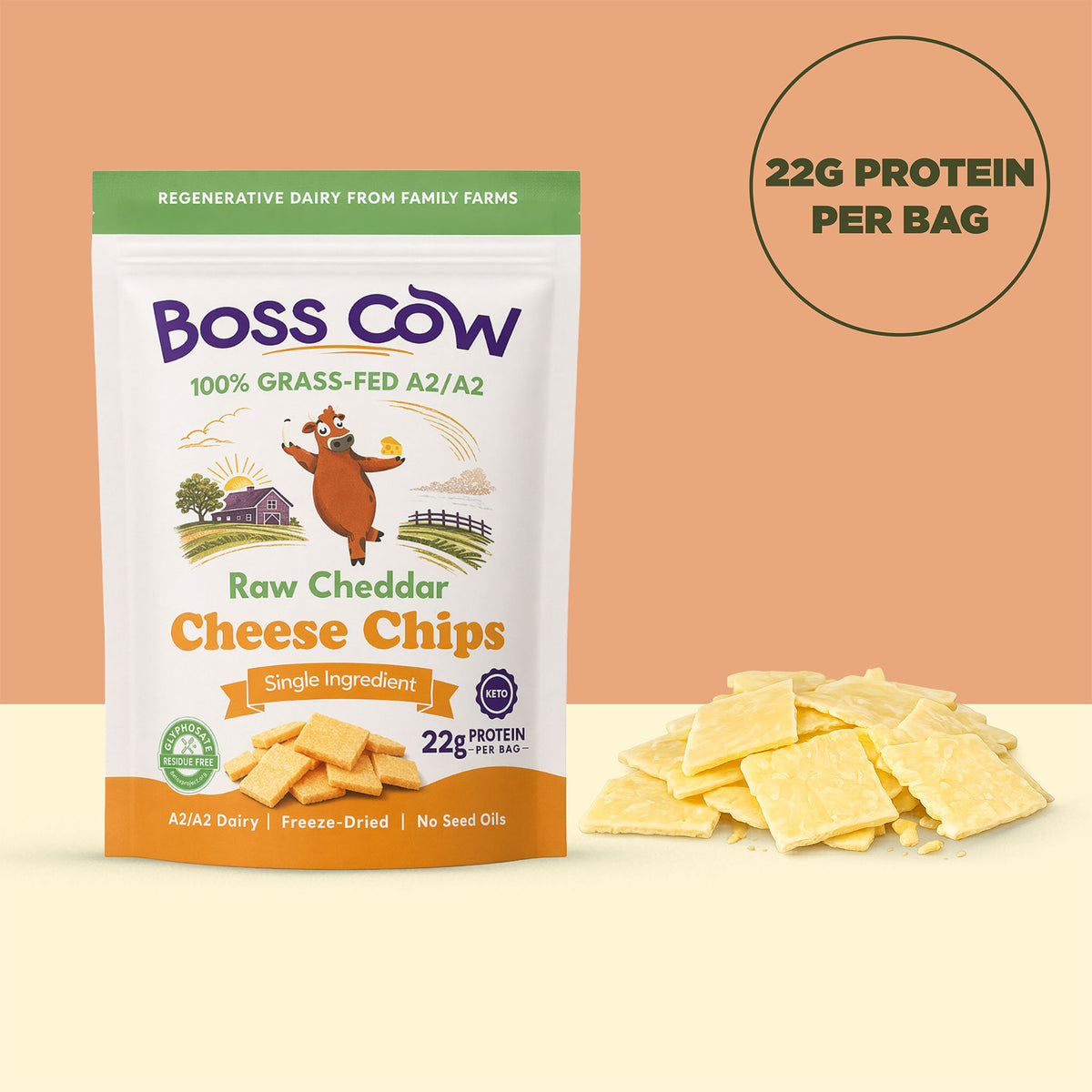 Cheddar Cheese Chips