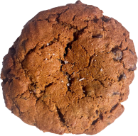 Pumpkin Spice Chocolate Chip Cookie